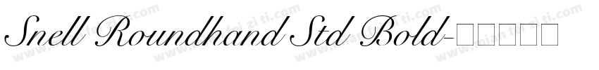 Snell Roundhand Std Bold字体转换